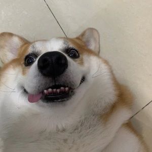 Meet your Posher, Yiyi